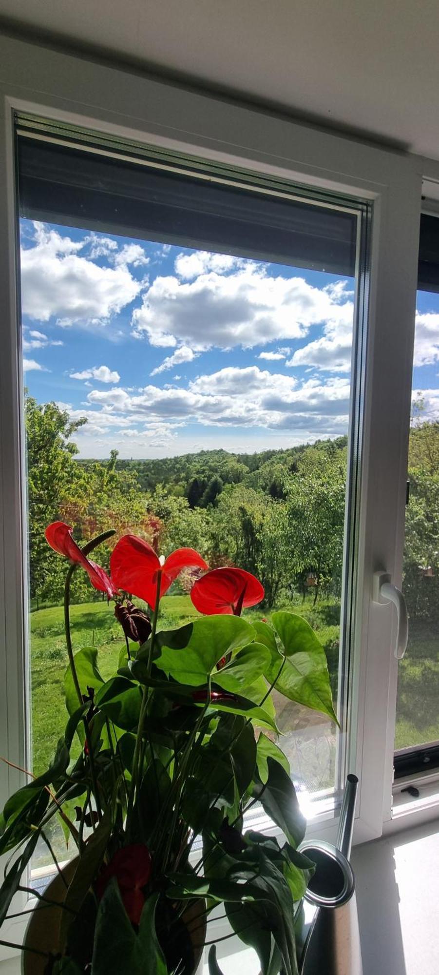 Villa Kunterbunt Kumberg Екстериор снимка